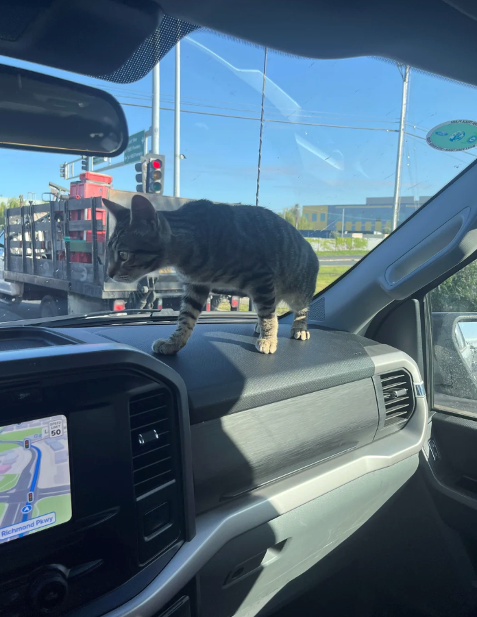 SPEED LIMIT 50 Richmond Pkwy ΠΑΙ