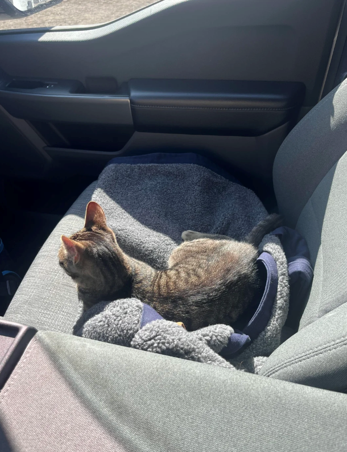 Cheezburger Image 10627184640