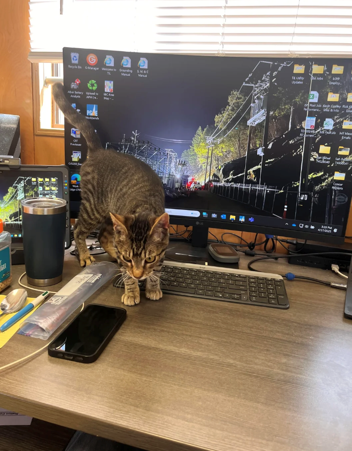 Recycle Bin G-Manager Welcome to Grounding SM&C Tilly Jobs 6319 TIL Manu Manual Updates Employ Alber Beltery Upload to Analys APM CA Map-- CAT 015200, dge L PGRE Workbench Post Job Kevin Codley Rick Kill Performanc. no Ema TO 20245 sell Masc Emails 402040749041 Concur Avcripts 329 PM 4/17/2025 LG