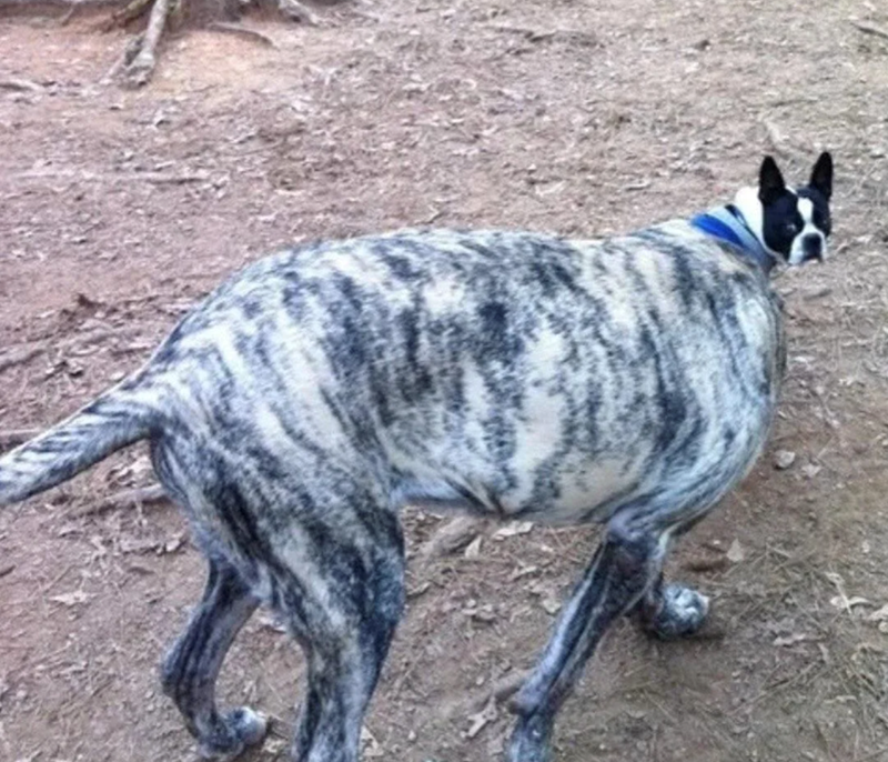 Cheezburger Image 10627188736