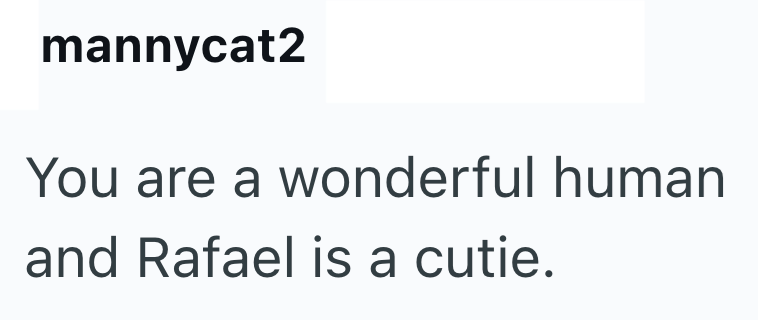mannycat2 You are a wonderful human and Rafael is a cutie.
