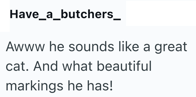 Have_a_butchers_ Awww he sounds like a great cat. And what beautiful markings he has!