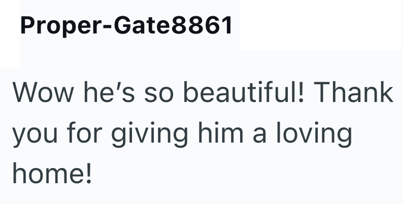 Proper-Gate8861 Wow he's so beautiful! Thank you for giving him a loving home!