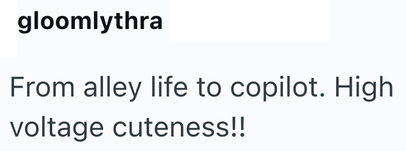 gloomlythra From alley life to copilot. High voltage cuteness!!