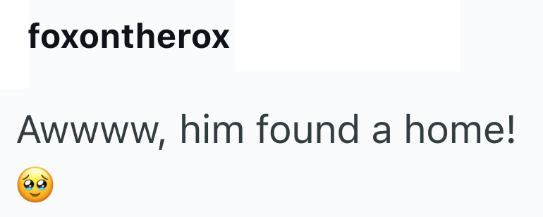 foxontherox Awwww, him found a home!