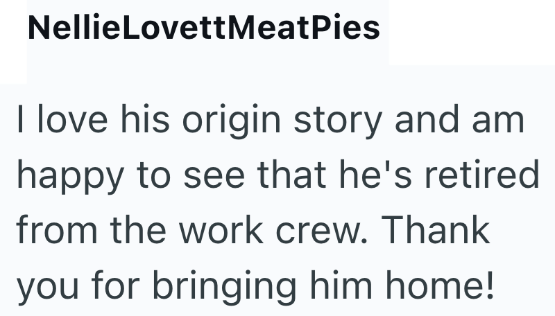 NellieLovettMeatPies I love his origin story and am happy to see that he's retired from the work crew. Thank you for bringing him home!