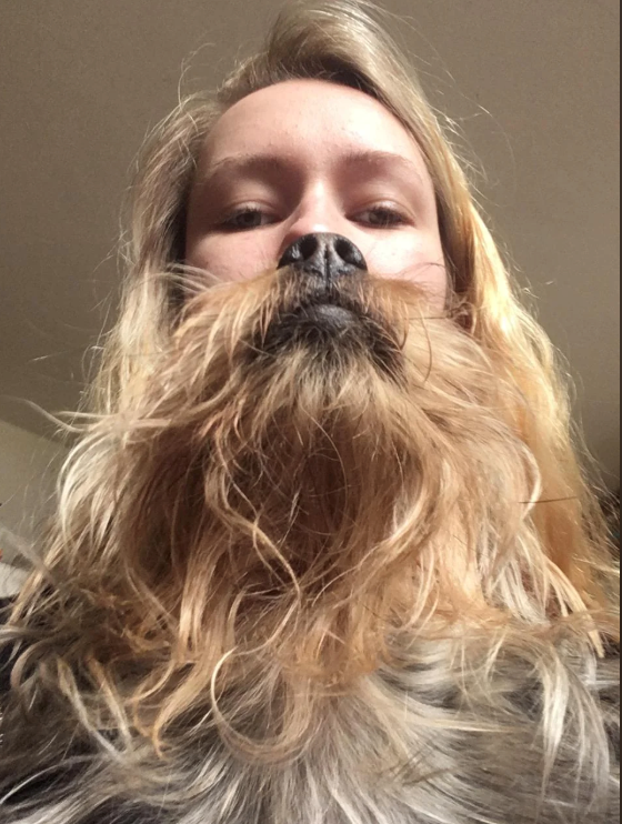 Cheezburger Image 10627194880