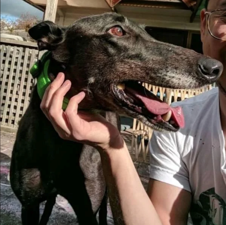 Cheezburger Image 10627196928