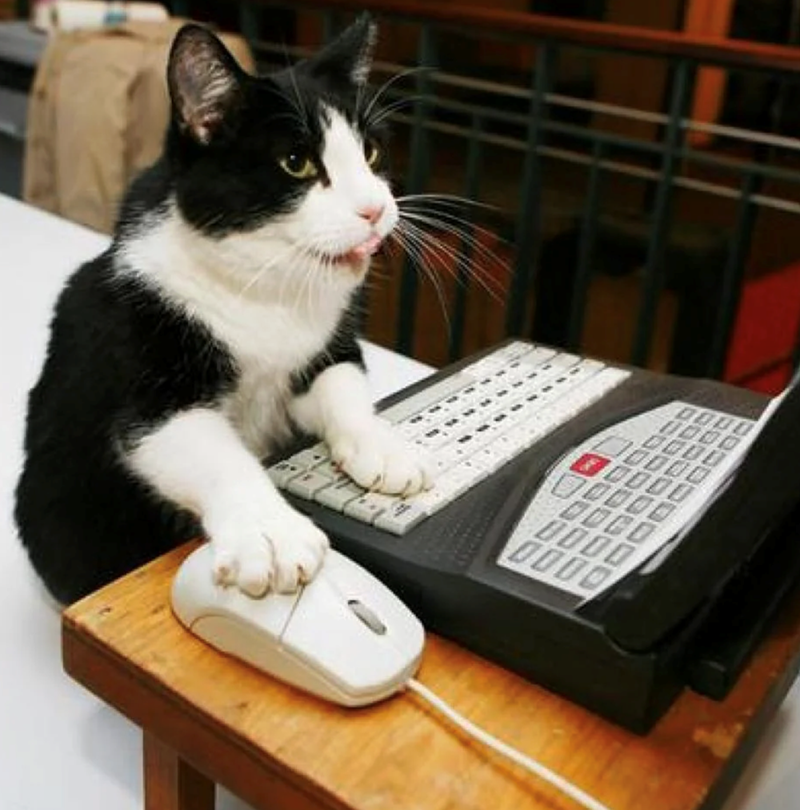 Cheezburger Image 10627200768