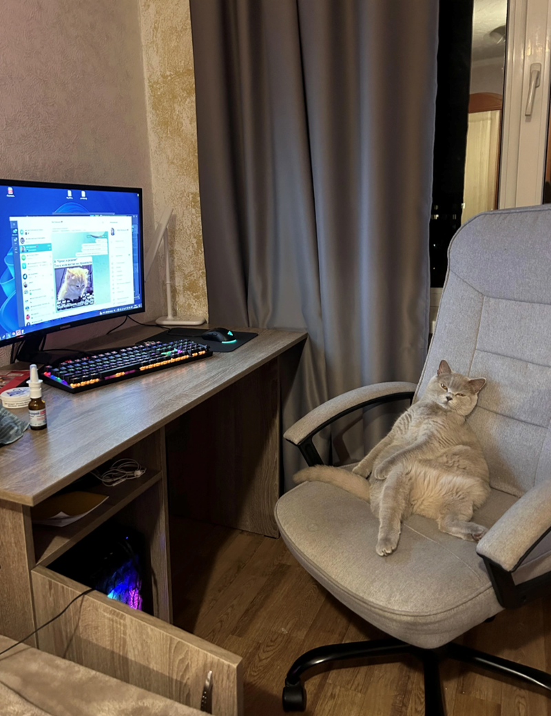 Cheezburger Image 10627201024