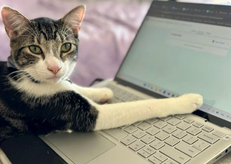 pg up enter backspace