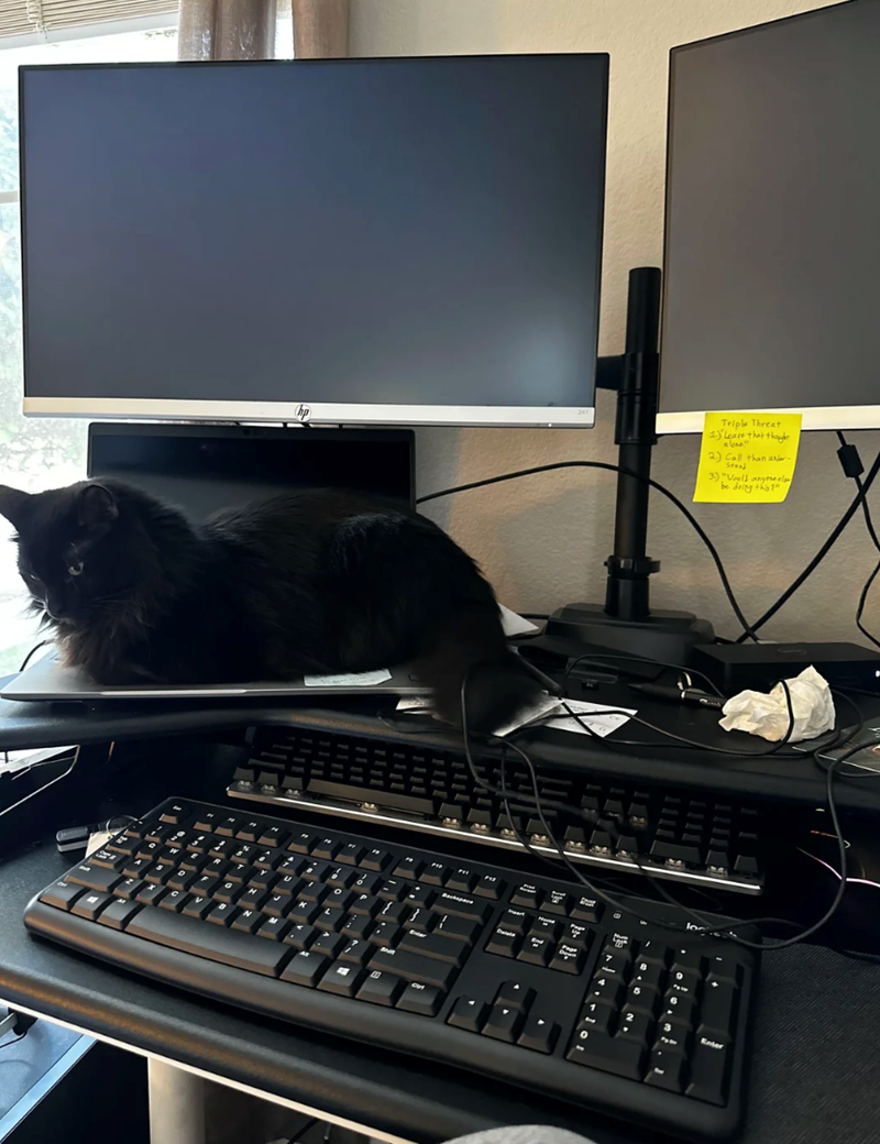 Triple Threat 1.) Leave that thought 2.) Call than under 3) "Would anyone. B