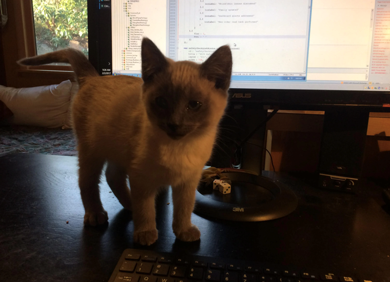 C 9:26AM 2/2/2017 1 2 O w 3 J. " J. 1. 1. ASUS 4 6 3M