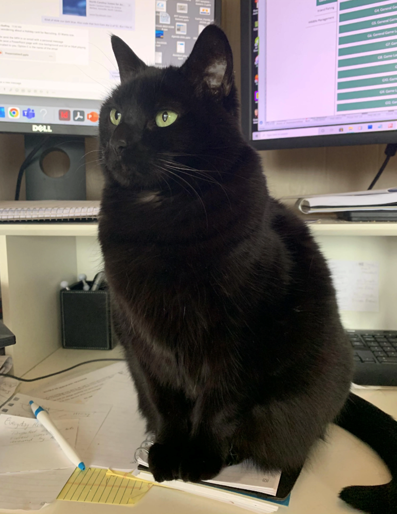 Everyday He G4 General Ga GS General Gam G6 General Game L G7 Car Gill Game La DELL 182 GO Gam St Game L