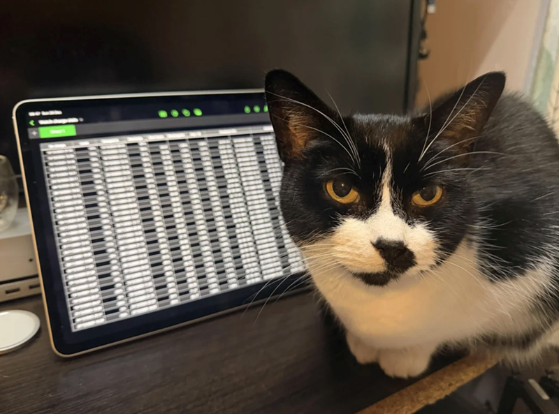 Cheezburger Image 10627203840