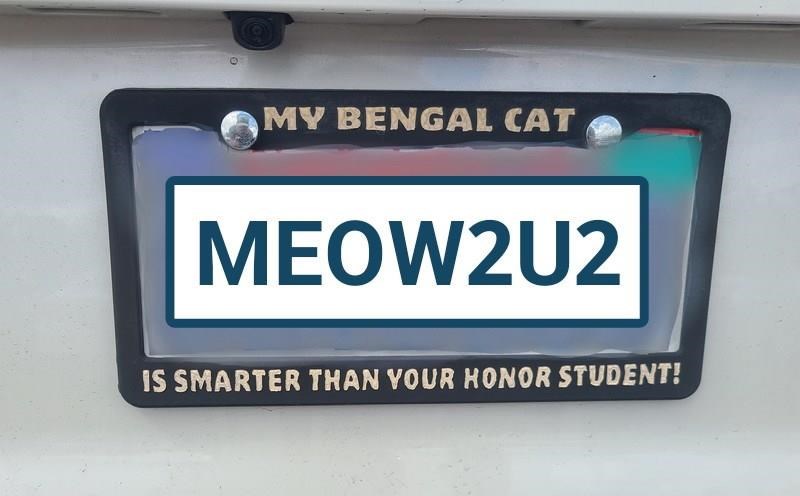 Cheezburger Image 10627205376