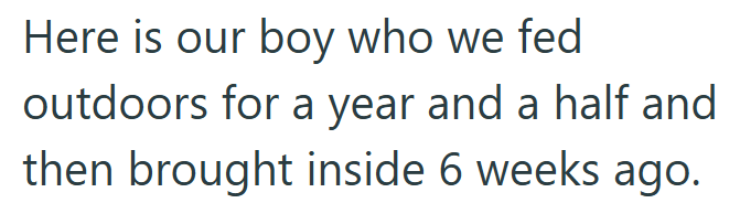 Here is our boy who we fed outdoors for a year and a half and then brought inside 6 weeks ago.