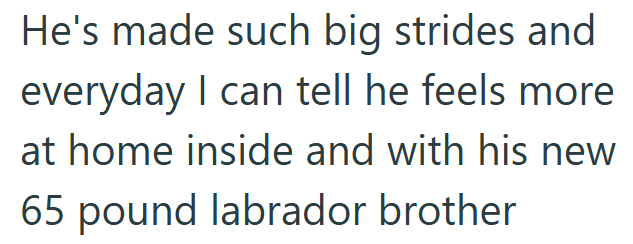 He's made such big strides and everyday I can tell he feels more at home inside and with his new 65 pound labrador brother