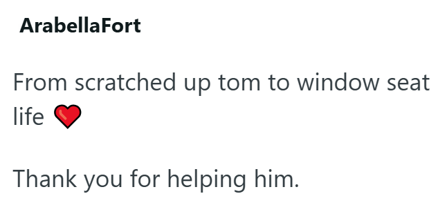 ArabellaFort From scratched up tom to window seat life Thank you for helping him.