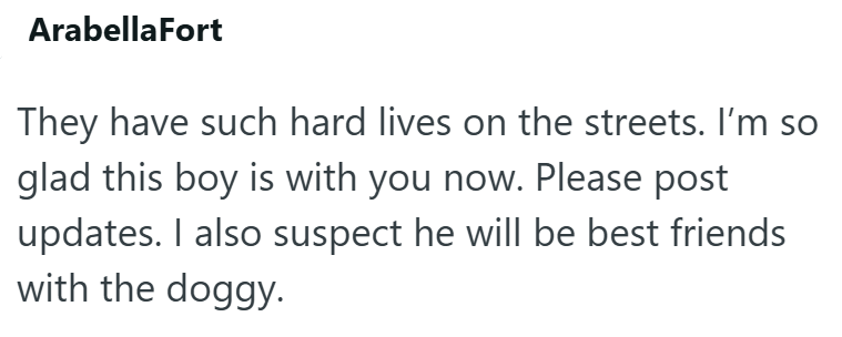 ArabellaFort They have such hard lives on the streets. I'm so glad this boy is with you now. Please post updates. I also suspect he will be best friends with the doggy.