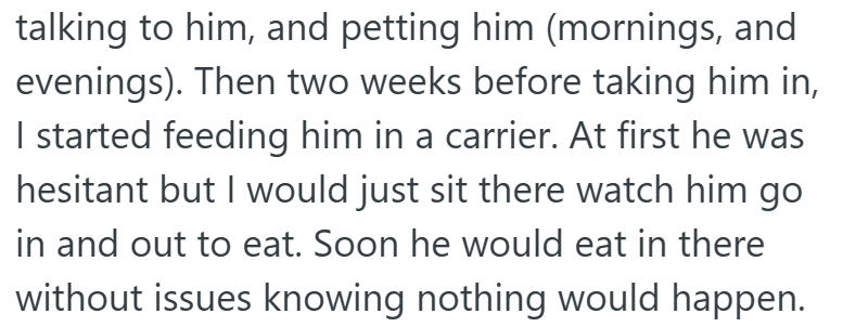 talking to him, and petting him (mornings, and evenings). Then two weeks before taking him in, I started feeding him in a carrier. At first he was hesitant but I would just sit there watch him go in and out to eat. Soon he would eat in there without issues knowing nothing would happen.