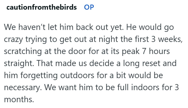 cautionfromthebirds OP We haven't let him back out yet. He would go crazy trying to get out at night the first 3 weeks, scratching at the door for at its peak 7 hours straight. That made us decide a long reset and him forgetting outdoors for a bit would be necessary. We want him to be full indoors for 3 months.