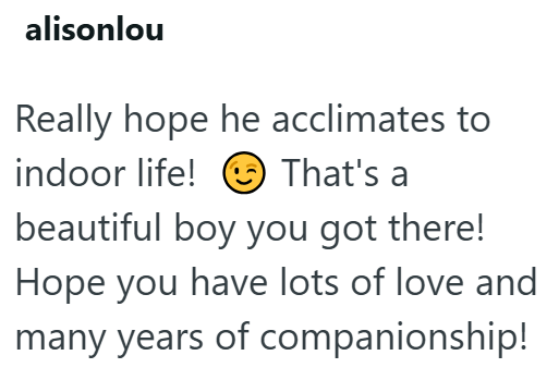 alisonlou Really hope he acclimates to indoor life! That's a beautiful boy you got there! Hope you have lots of love and many years of companionship!