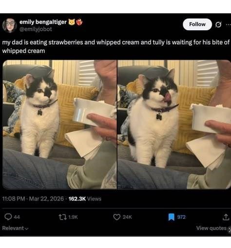 emily bengaltiger @emilyjobot Follow 0 my dad is eating strawberries and whipped cream and tully is waiting for his bite of whipped cream 11:08 PM Mar 22, 2026 162.3K Views 44 Relevant t1.9K 24K 972 View quotes