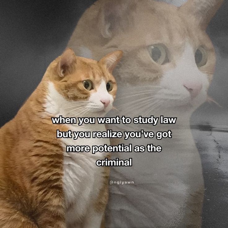 when you want to study law but you realize you've got more potential as the criminal angiyawn