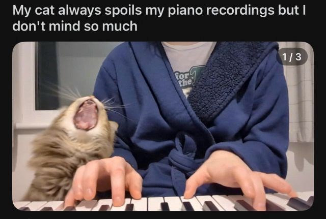 My cat always spoils my piano recordings but I don't mind so much 1/3 for the