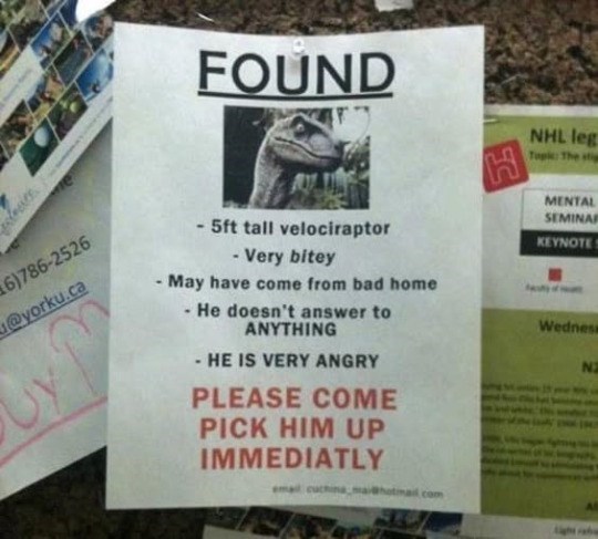 6)786-2526 @yorku.ca FOUND 5ft tall velociraptor Very bitey - May have come from bad home He doesn't answer to ANYTHING HE IS VERY ANGRY PLEASE COME PICK HIM UP IMMEDIATLY email cuchi com H NHL leg Topic: The stig MENTAL SEMINAR KEYNOTES Wedness N