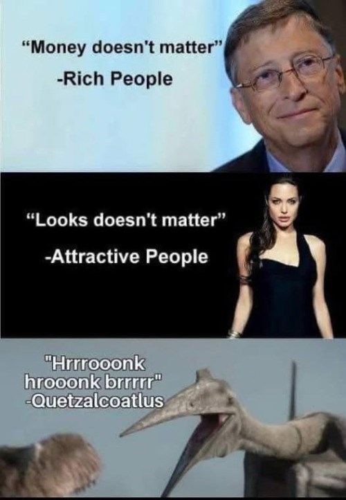 "Money doesn't matter" -Rich People "Looks doesn't matter" -Attractive People "Hrrrooonk hrooonk brrrrr" -Quetzalcoatlus