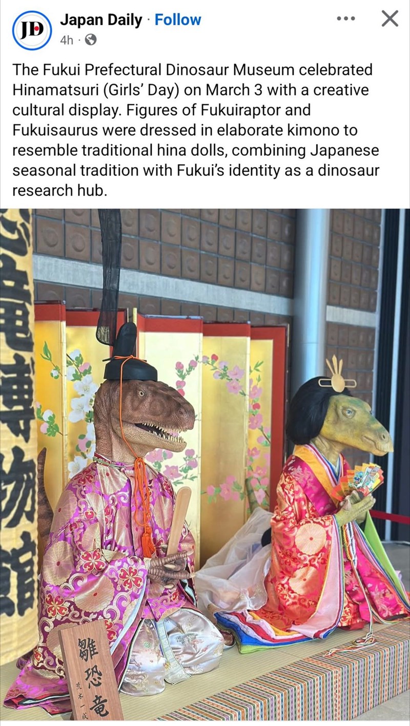JD Japan Daily Follow 4h . The Fukui Prefectural Dinosaur Museum celebrated Hinamatsuri (Girls' Day) on March 3 with a creative cultural display. Figures of Fukuiraptor and Fukuisaurus were dressed in elaborate kimono to resemble traditional hina dolls, combining Japanese seasonal tradition with Fukui's identity as a dinosaur research hub. 雛恐竜 荒木一