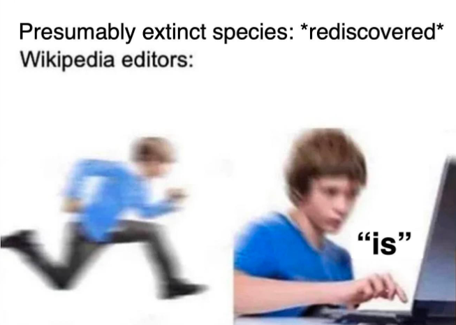 Presumably extinct species: *rediscovered* Wikipedia editors: "is"