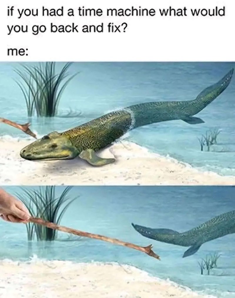 if you had a time machine what would you go back and fix? me: