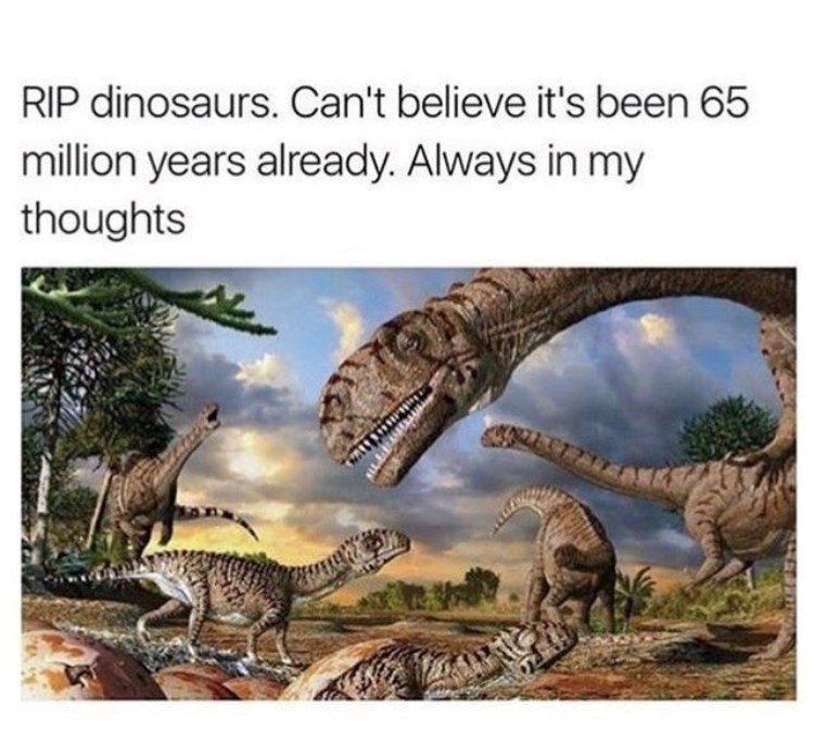 RIP dinosaurs. Can't believe it's been 65 million years already. Always in my thoughts 377