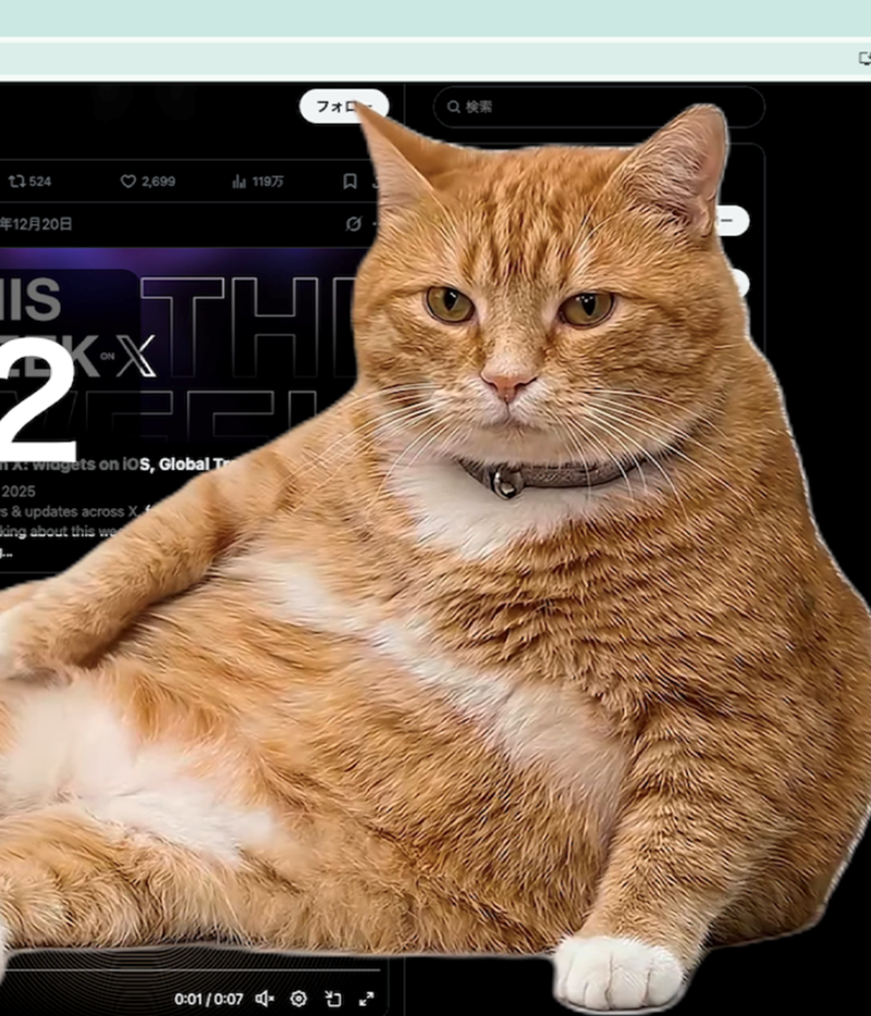 t3524 2,699 年12月20日 フォロ 11975 口 0 IS K-X THI A: Widgets on iOS, Global T 2025 s & updates across X king about this we 0:01/0:07 Q 検索