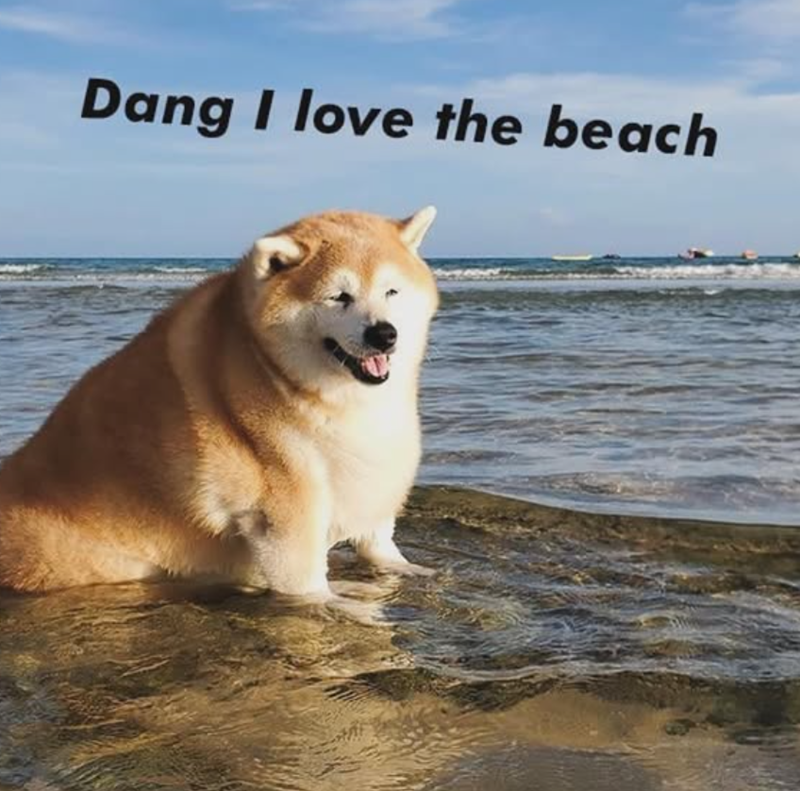 Dang I love the beach