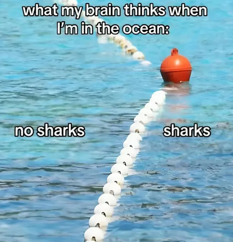 what my brain thinks when I'm in the ocean: no sharks sharks