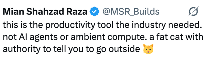 Mian Shahzad Raza @MSR_Builds this is the productivity tool the industry needed. not Al agents or ambient compute. a fat cat with authority to tell you to go outside