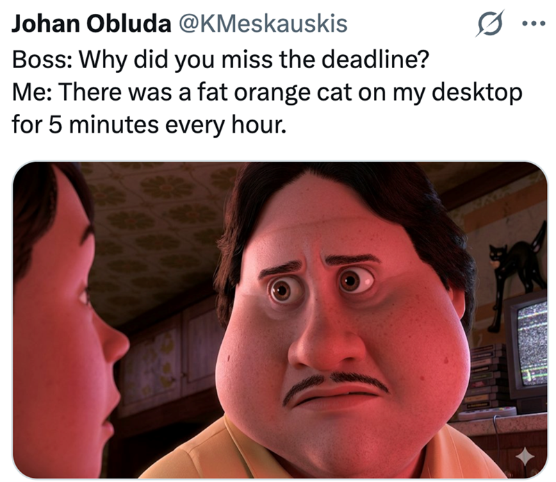 Johan Obluda @KMeskauskis Boss: Why did you miss the deadline? Me: There was a fat orange cat on my desktop for 5 minutes every hour. ...