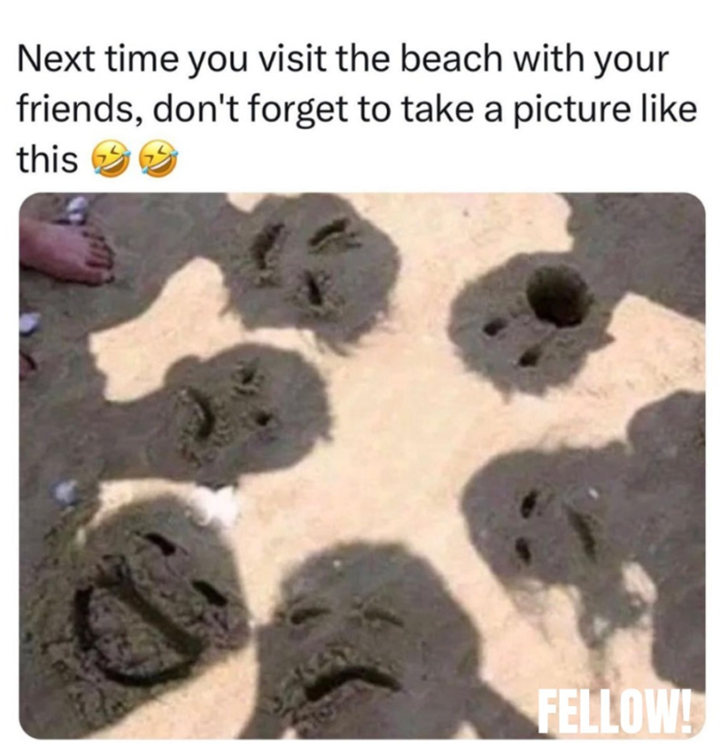 Next time you visit the beach with your friends, don't forget to take a picture like this FELLOW!