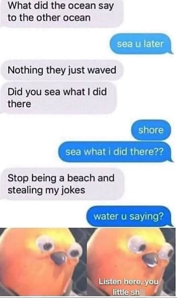 What did the ocean say to the other ocean Nothing they just waved Did you sea what I did there sea u later shore sea what i did there?? Stop being a beach and stealing my jokes water u saying? Listen here, you little sh