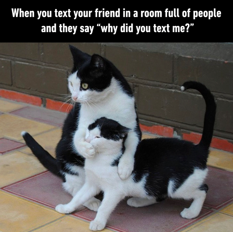 When you text your friend in a room full of people and they say "why did you text me?"