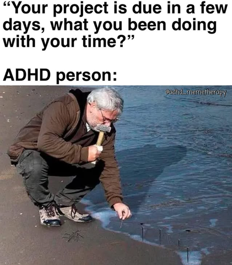 "Your project is due in a few days, what you been doing with your time?" ADHD person: @adhd_memetherapy