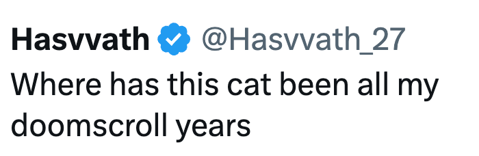 Hasvvath @Hasvvath_27 Where has this cat been all my doomscroll years