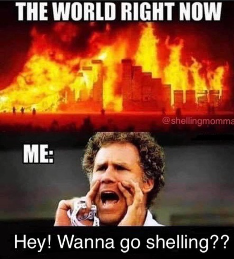 THE WORLD RIGHT NOW ME: @shellingmomma Hey! Wanna go shelling??