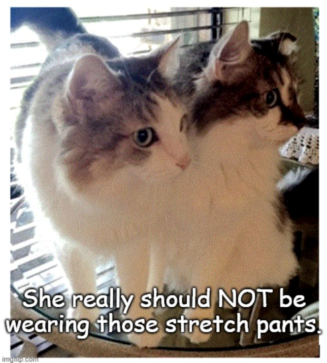 She really should NOT be wearing those stretch pants. imgfillp.com