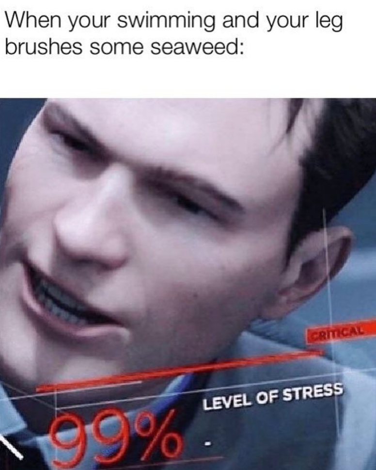 When your swimming and your leg brushes some seaweed: 99% CRITICAL LEVEL OF STRESS