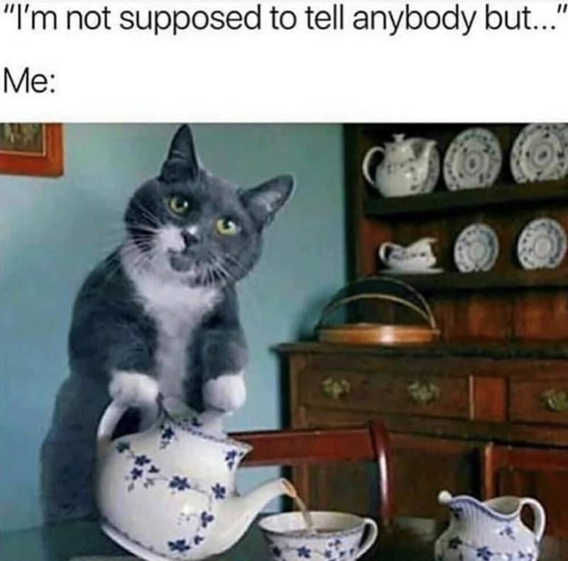 "I'm not supposed to tell anybody but..." Me: